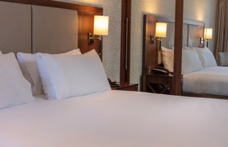 Maindeluxe Carousel Desktop Deluxe Double Carousel 2