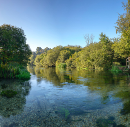 <strong><span class="NormalTextRun SCXW146446620 BCX8">RIVER ITCHEN</span> </strong>